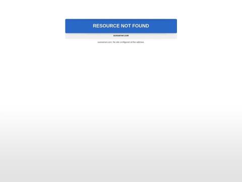 SureServer：专业的服务器配置与域名管理解决方案